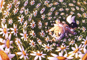 Daisies
